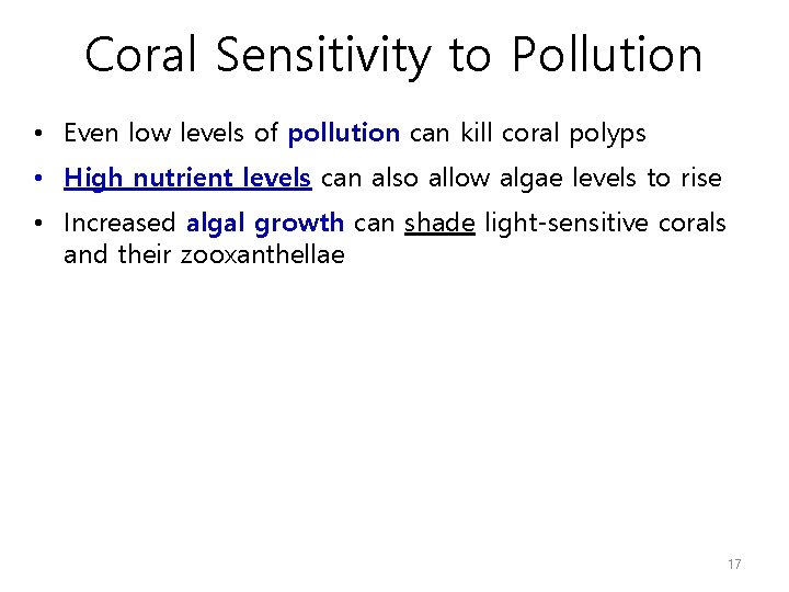 Coral Sensitivity to Pollution • Even low levels of pollution can kill coral polyps