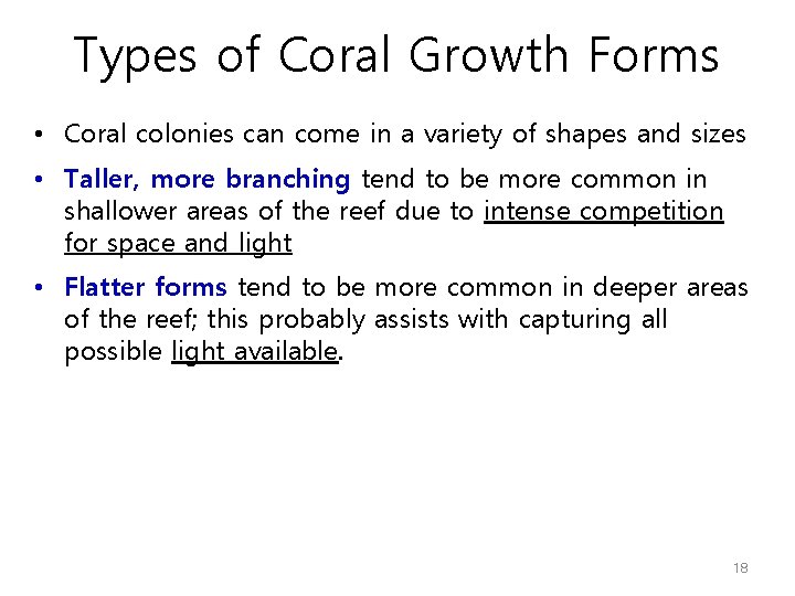 Types of Coral Growth Forms • Coral colonies can come in a variety of