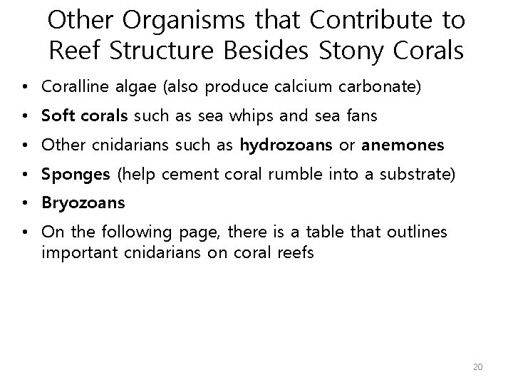 Other Organisms that Contribute to Reef Structure Besides Stony Corals • Coralline algae (also