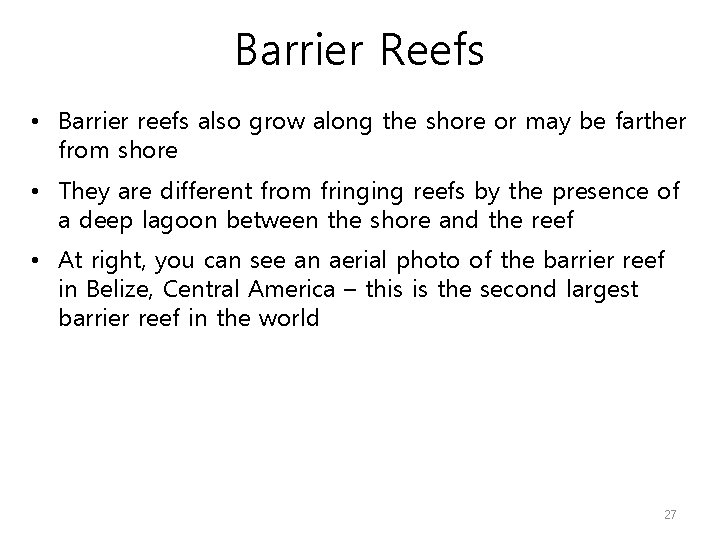 Barrier Reefs • Barrier reefs also grow along the shore or may be farther