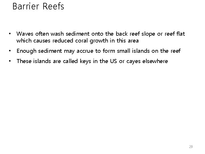 Barrier Reefs • Waves often wash sediment onto the back reef slope or reef