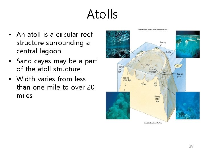 Atolls • An atoll is a circular reef structure surrounding a central lagoon •