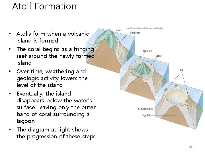 Atoll Formation • Atolls form when a volcanic island is formed • The coral