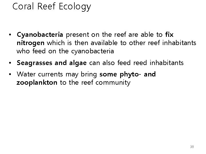 Coral Reef Ecology • Cyanobacteria present on the reef are able to fix nitrogen