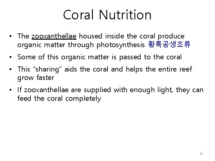 Coral Nutrition • The zooxanthellae housed inside the coral produce organic matter through photosynthesis