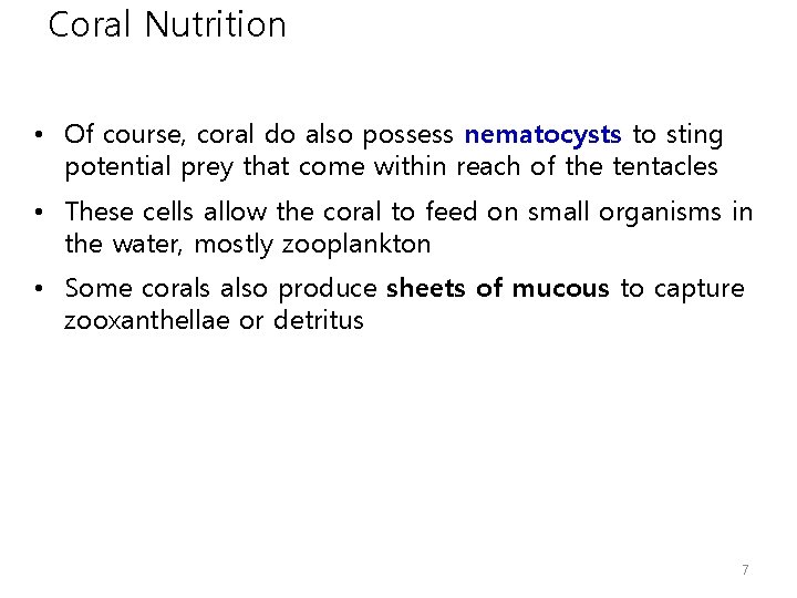 Coral Nutrition • Of course, coral do also possess nematocysts to sting potential prey