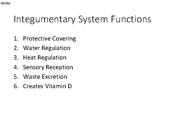 Write Integumentary System Functions 1. 2. 3. 4. 5. 6. Protective Covering Water Regulation