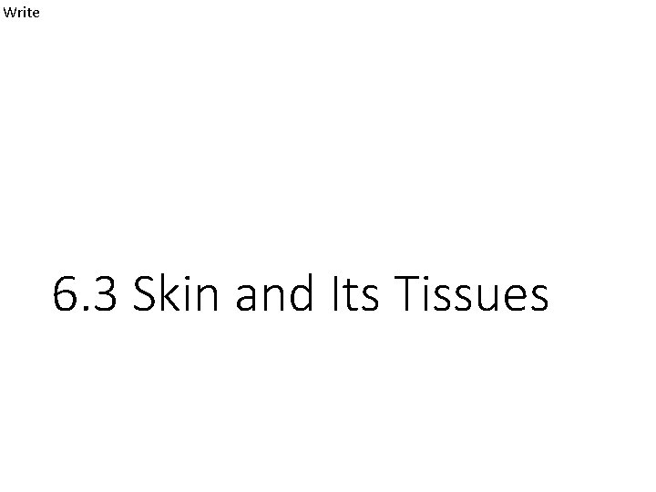Write 6. 3 Skin and Its Tissues 
