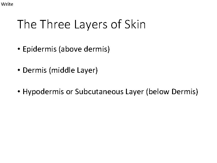 Write Three Layers of Skin • Epidermis (above dermis) • Dermis (middle Layer) •