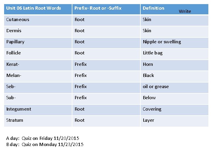 Unit 06 Latin Root Words Prefix- Root or -Suffix Definition Cutaneous Root Skin Dermis