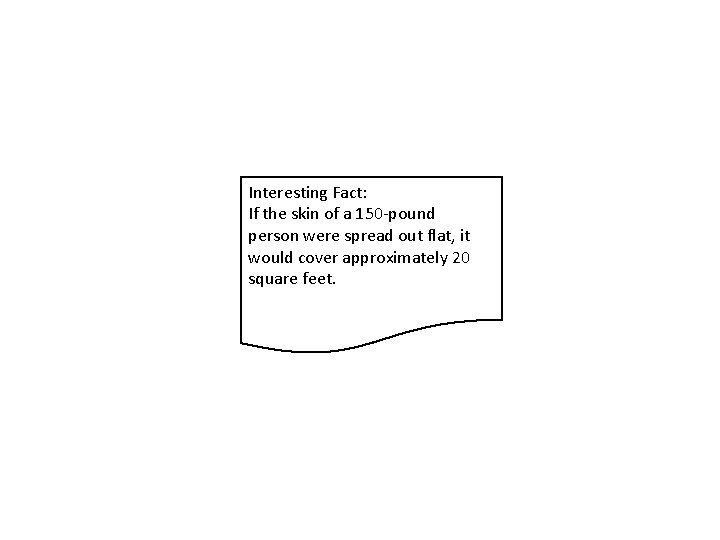 Interesting Fact: If the skin of a 150 -pound person were spread out flat,