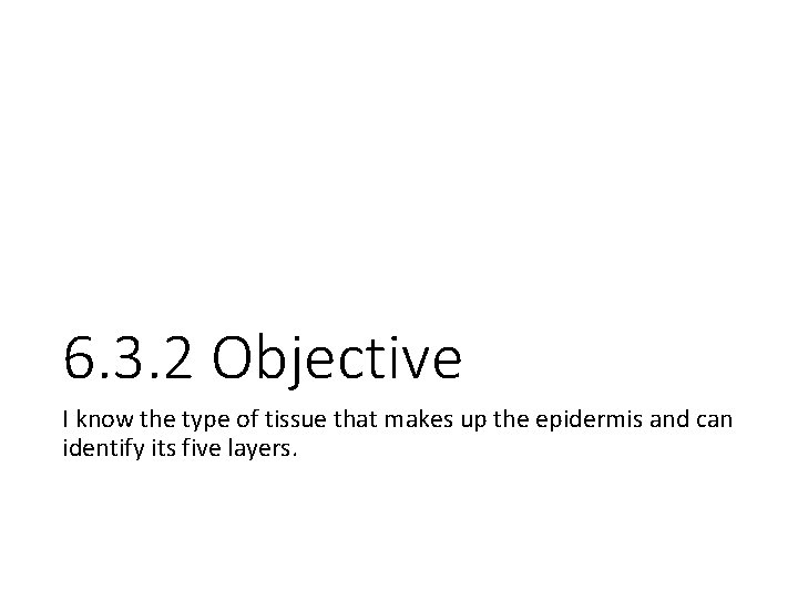 6. 3. 2 Objective I know the type of tissue that makes up the