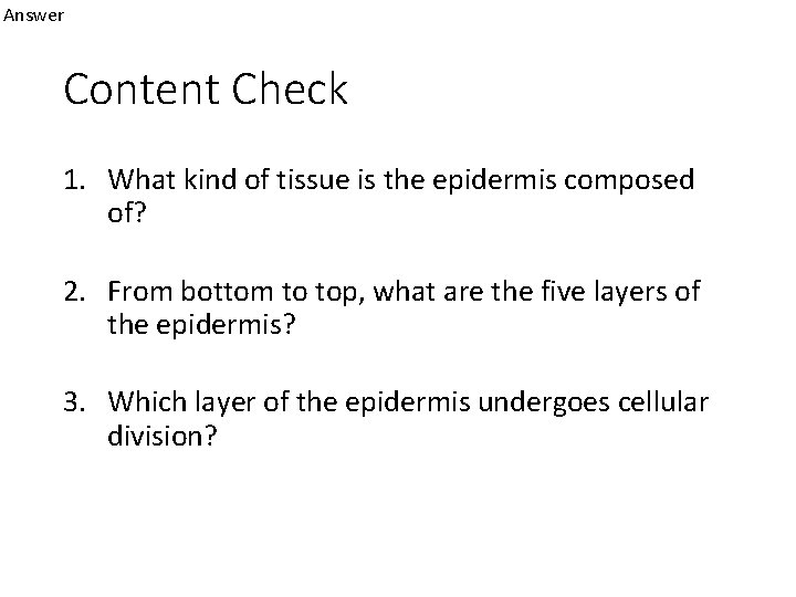 Answer Content Check 1. What kind of tissue is the epidermis composed of? 2.