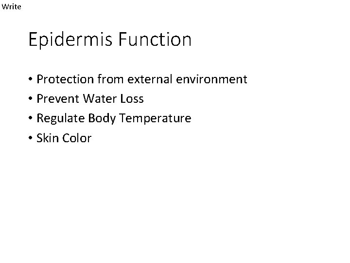 Write Epidermis Function • Protection from external environment • Prevent Water Loss • Regulate