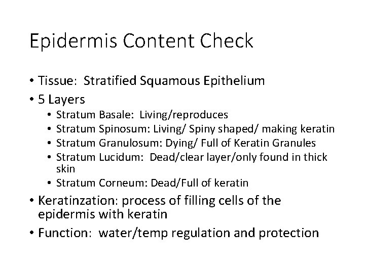 Epidermis Content Check • Tissue: Stratified Squamous Epithelium • 5 Layers Stratum Basale: Living/reproduces