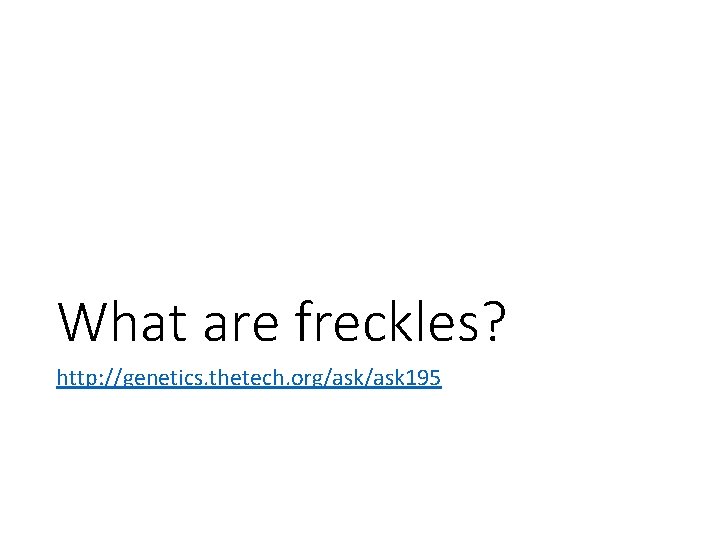 What are freckles? http: //genetics. thetech. org/ask 195 