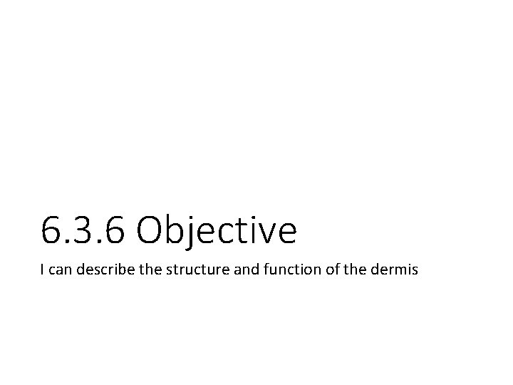6. 3. 6 Objective I can describe the structure and function of the dermis