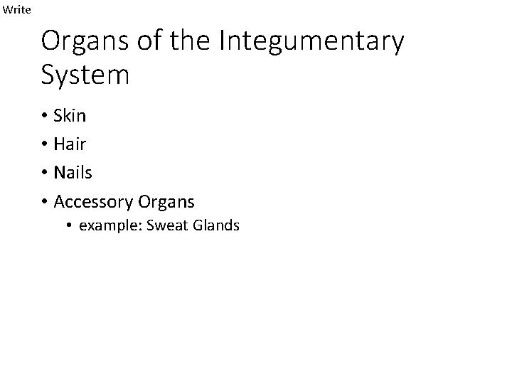 Write Organs of the Integumentary System • Skin • Hair • Nails • Accessory