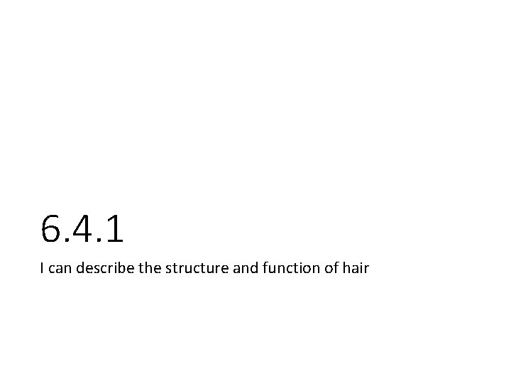 6. 4. 1 I can describe the structure and function of hair 