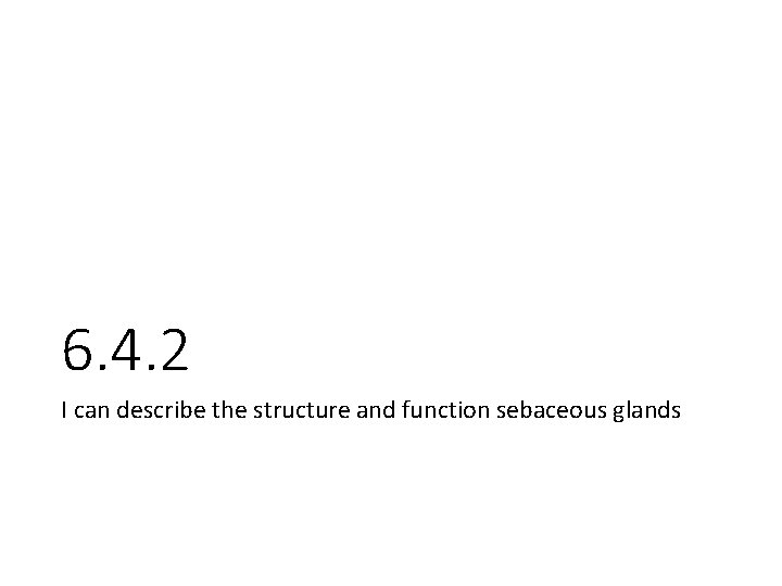 6. 4. 2 I can describe the structure and function sebaceous glands 