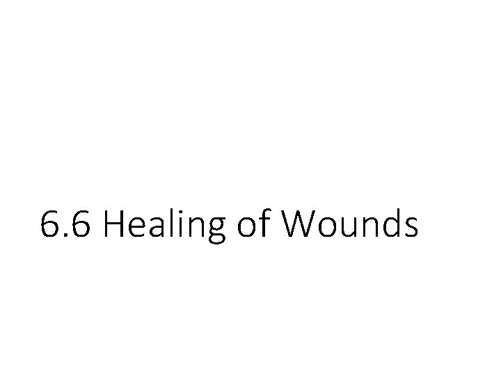 6. 6 Healing of Wounds 