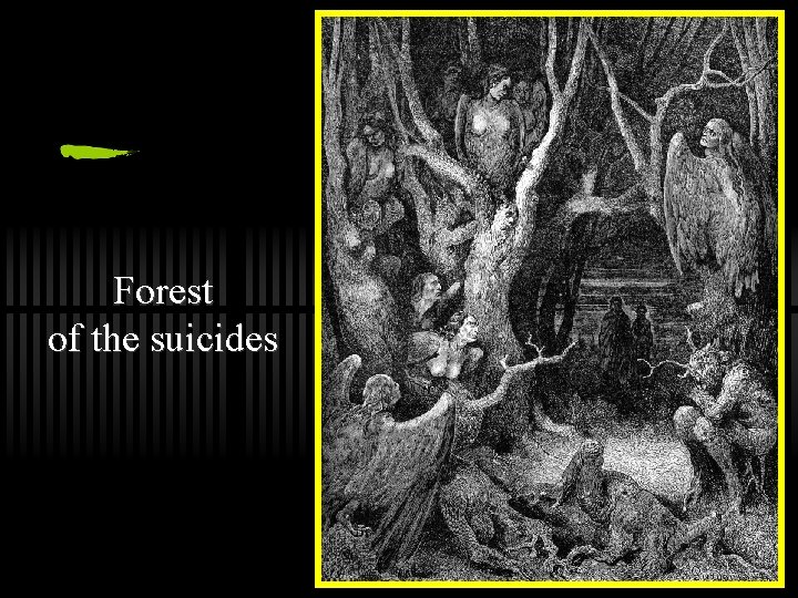 Forest of the suicides 