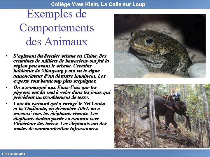 Collège Yves Klein, La Colle sur Loup Exemples de Comportements des Animaux • •