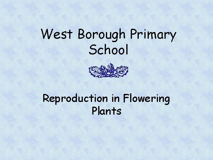 West Borough Primary School Reproduction in Flowering Plants 