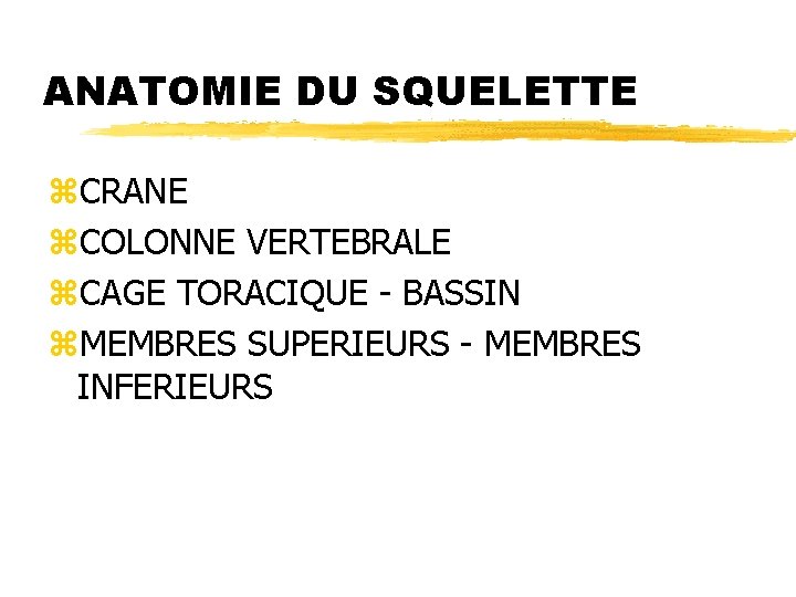ANATOMIE DU SQUELETTE z. CRANE z. COLONNE VERTEBRALE z. CAGE TORACIQUE - BASSIN z.