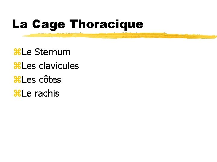 La Cage Thoracique z. Le Sternum z. Les clavicules z. Les côtes z. Le