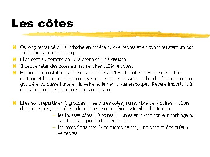 Les côtes z Os long recourbé qui s ’attache en arrière aux vertèbres et