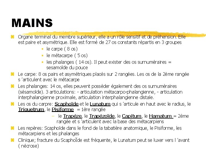 MAINS z Organe terminal du membre supérieur, elle a un rôle sensitif et de