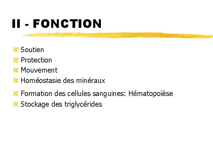 II - FONCTION z Soutien z Protection z Mouvement z Homéostasie des minéraux z