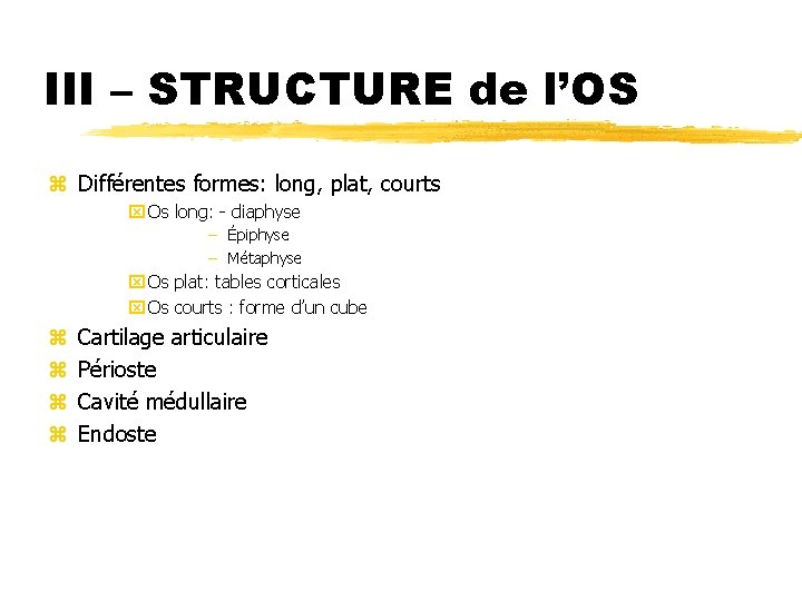 III – STRUCTURE de l’OS z Différentes formes: long, plat, courts x Os long: