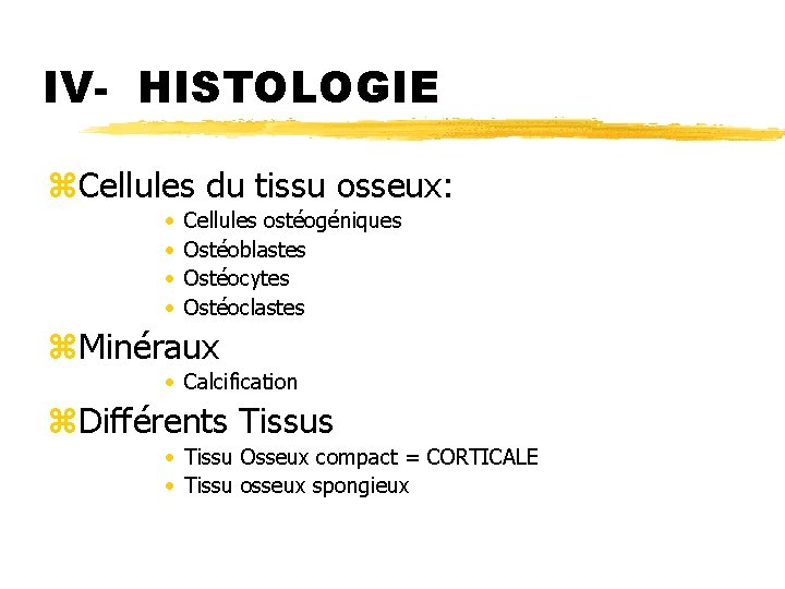 IV- HISTOLOGIE z. Cellules du tissu osseux: • • Cellules ostéogéniques Ostéoblastes Ostéocytes Ostéoclastes