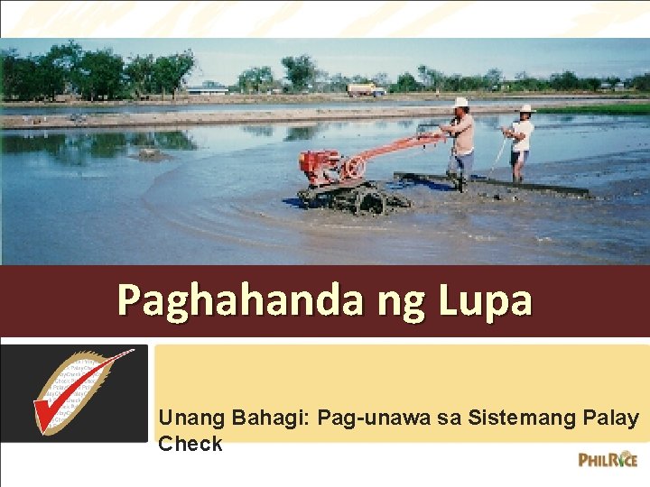 Paghahanda ng Lupa Unang Bahagi: Pag-unawa sa Sistemang Palay Check 