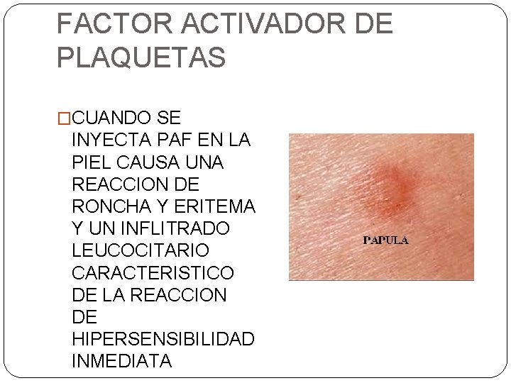 FACTOR ACTIVADOR DE PLAQUETAS �CUANDO SE INYECTA PAF EN LA PIEL CAUSA UNA REACCION