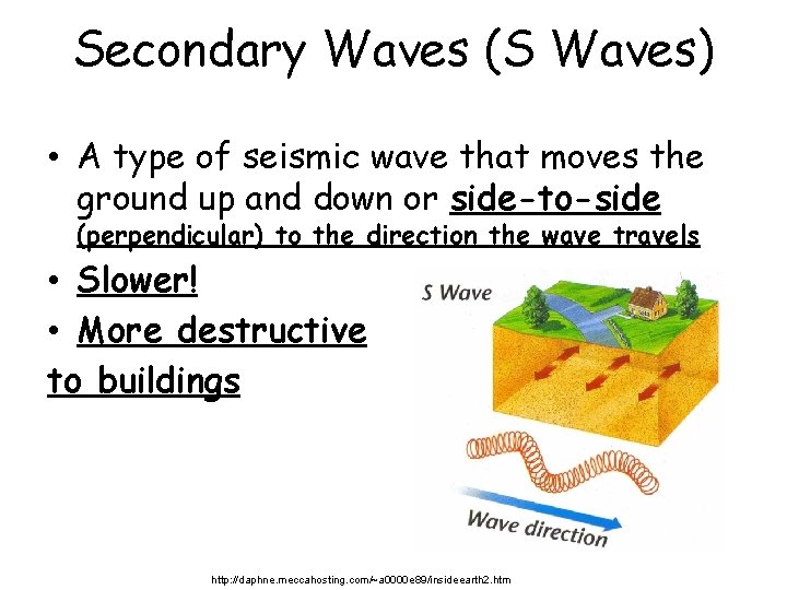 Secondary Waves (S Waves) • A type of seismic wave that moves the ground