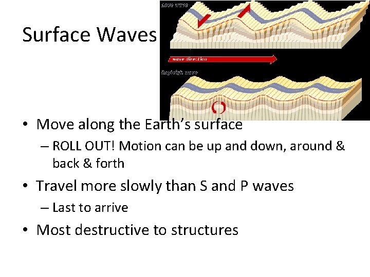 Surface Waves • Move along the Earth’s surface – ROLL OUT! Motion can be