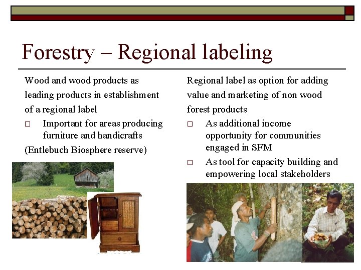 Forestry – Regional labeling Wood and wood products as leading products in establishment of