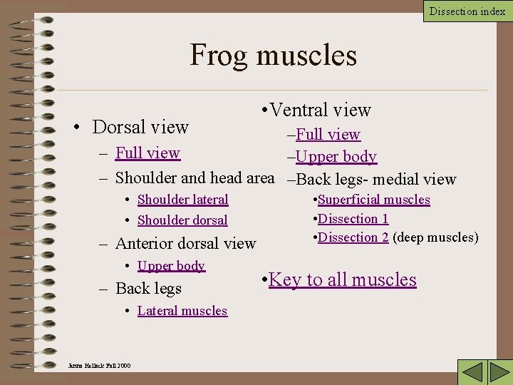 Dissection index Frog muscles • Dorsal view • Ventral view –Full view –Upper body