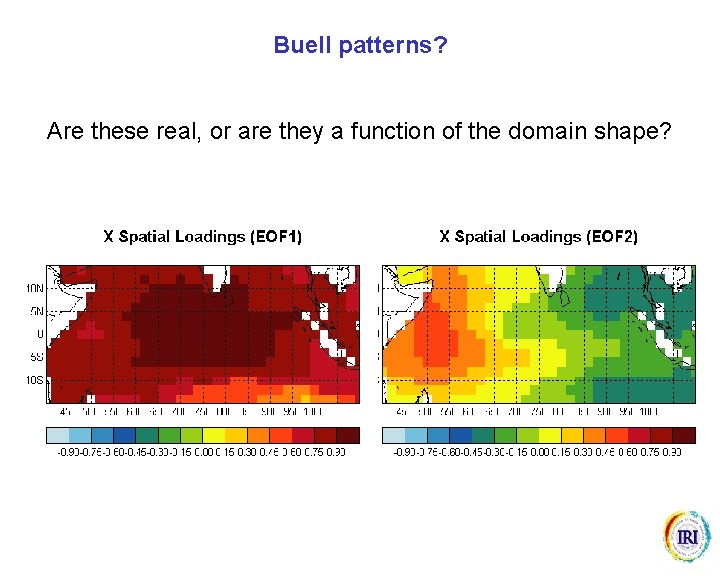 Buell patterns? Are these real, or are they a function of the domain shape?