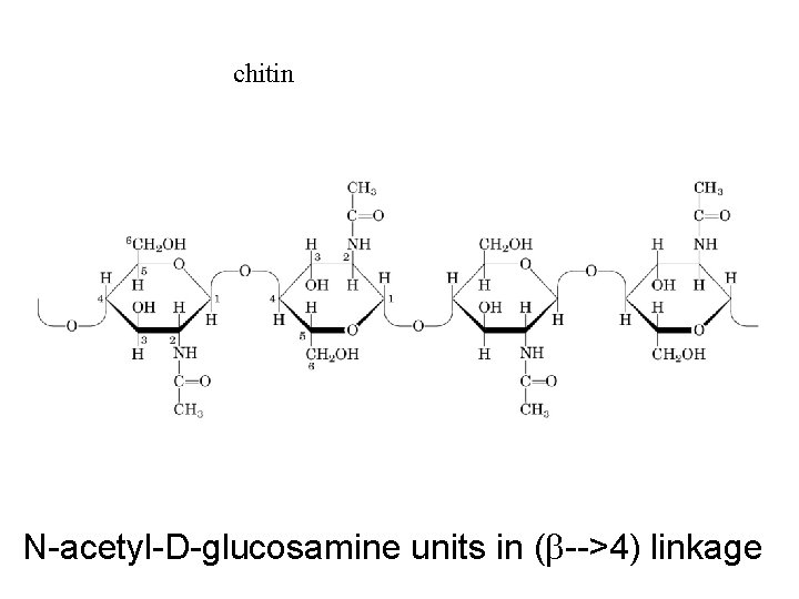 chitin N-acetyl-D-glucosamine units in (b-->4) linkage 