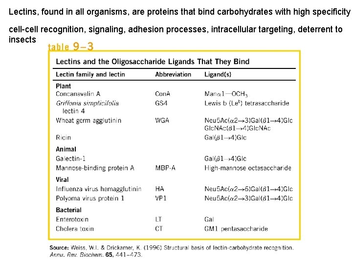 Lectins, found in all organisms, are proteins that bind carbohydrates with high specificity cell-cell