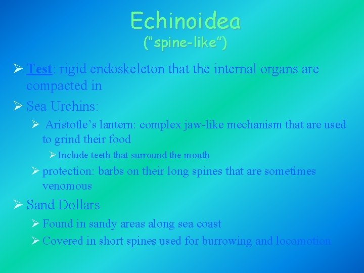 Echinoidea (“spine-like”) Ø Test: rigid endoskeleton that the internal organs are compacted in Ø