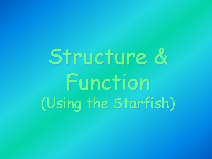 Structure & Function (Using the Starfish) 