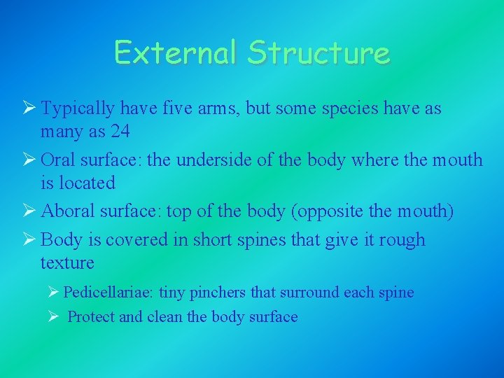 External Structure Ø Typically have five arms, but some species have as many as
