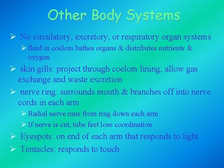 Other Body Systems Ø No circulatory, excretory, or respiratory organ systems Ø fluid in