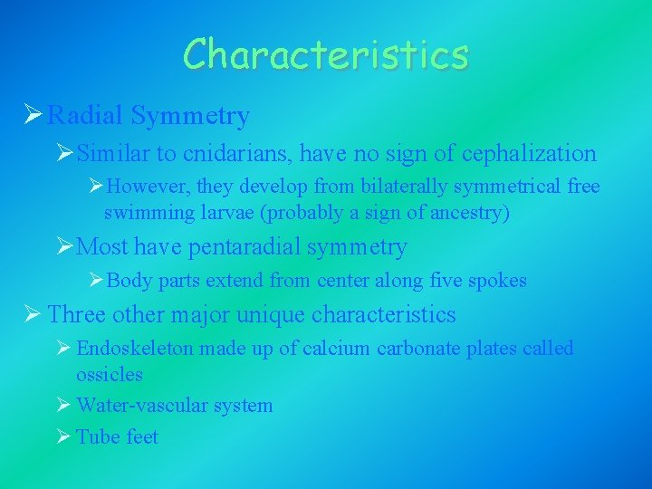 Characteristics Ø Radial Symmetry ØSimilar to cnidarians, have no sign of cephalization ØHowever, they