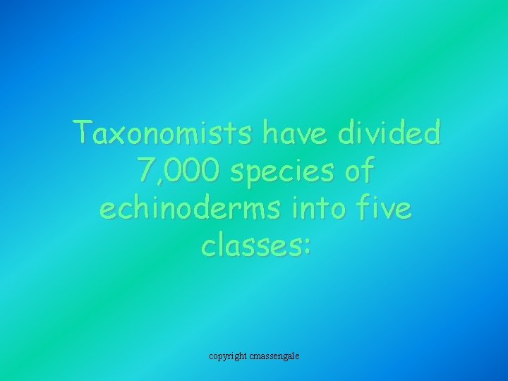 Taxonomists have divided 7, 000 species of echinoderms into five classes: copyright cmassengale 